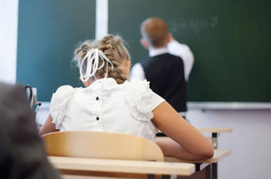 В России предложили создать центры для подготовки учителей начальных классов